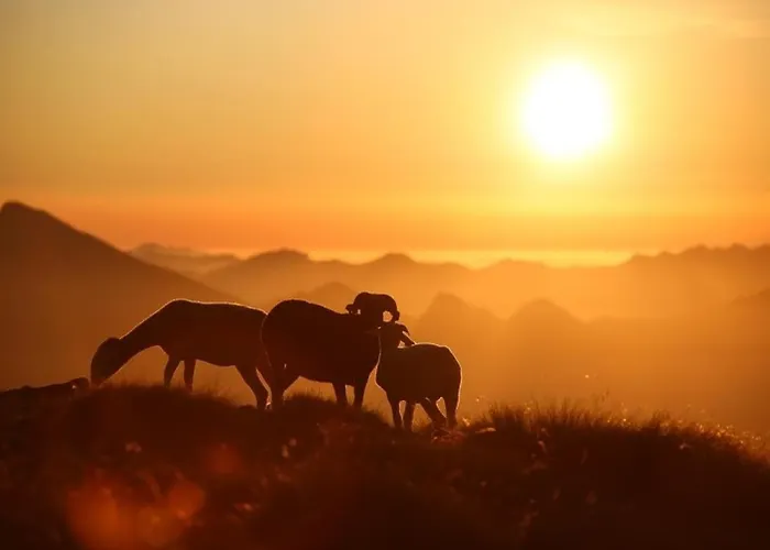 A Cauterets: 4 Pers, Parking, Proche Telecabine Et Centre - Fr-1-401-48 Διαμέρισμα *
