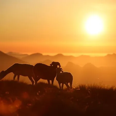 A Cauterets: 4 Pers, Parking, Proche Telecabine Et Centre - Fr-1-401-48 아파트 *